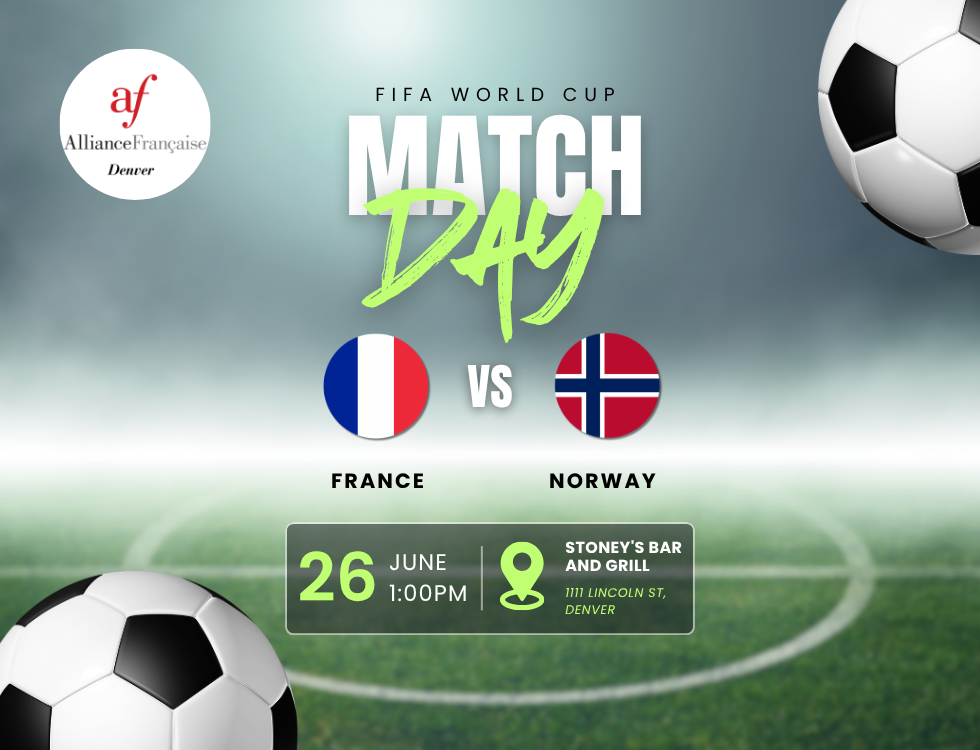 FIFA World Cup - France vs Norway