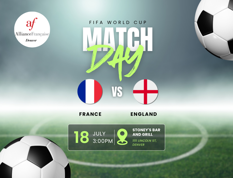 FIFA World Cup - France vs England